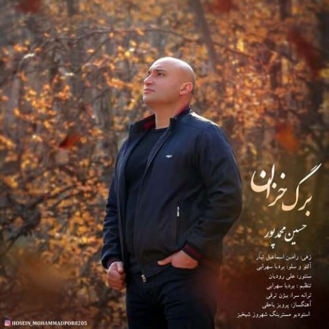 دانلود آهنگ جدید حسین محمد پور با عنوان برگ خزان